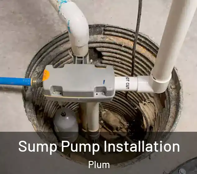  Sump Pump Installation Plum