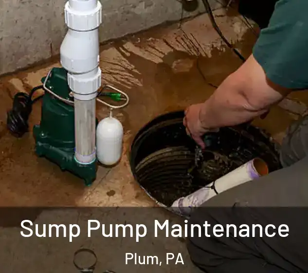  Sump Pump Maintenance Plum, PA