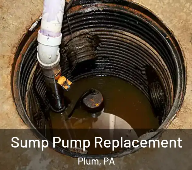  Sump Pump Replacement Plum, PA