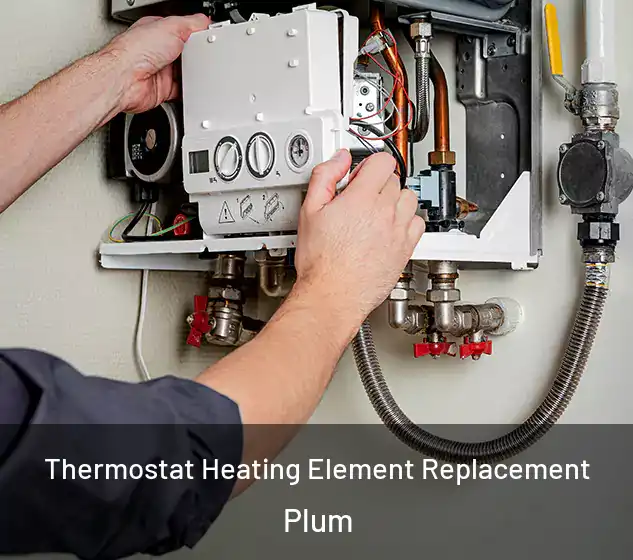  Thermostat Heating Element Replacement Plum