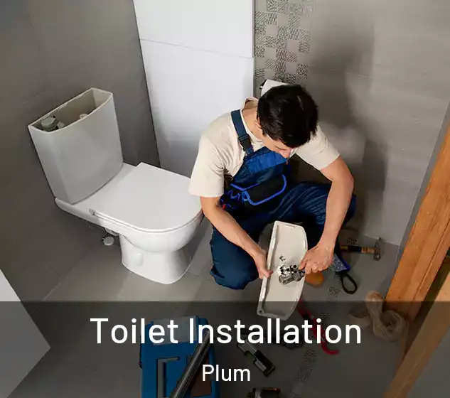  Toilet Installation Plum