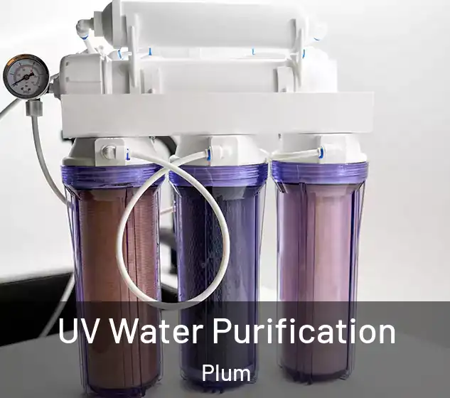  UV Water Purification Plum