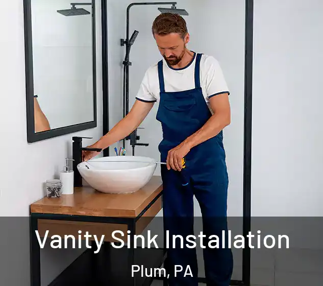  Vanity Sink Installation Plum, PA