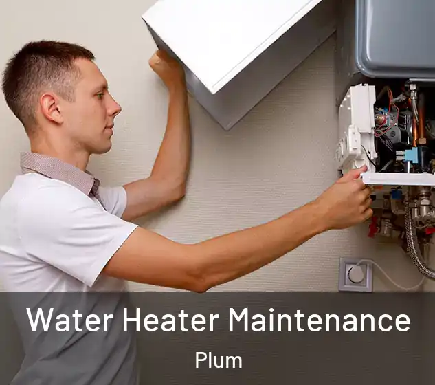  Water Heater Maintenance Plum