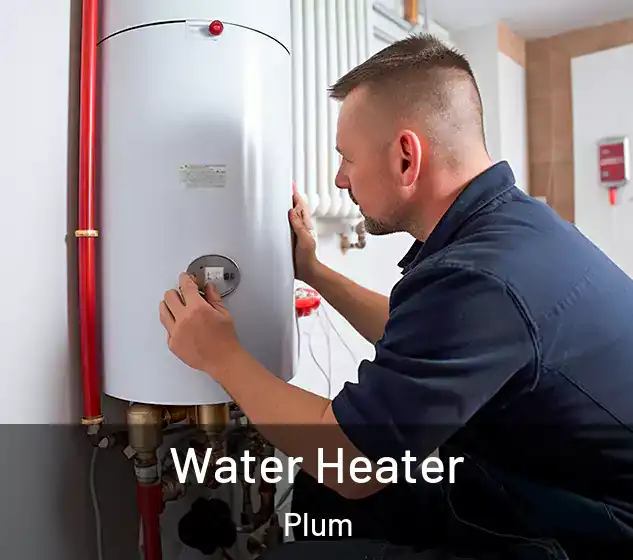  Water Heater Plum