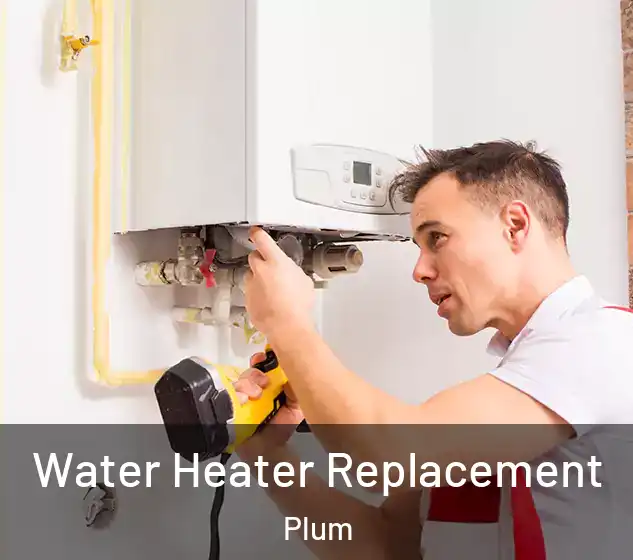  Water Heater Replacement Plum