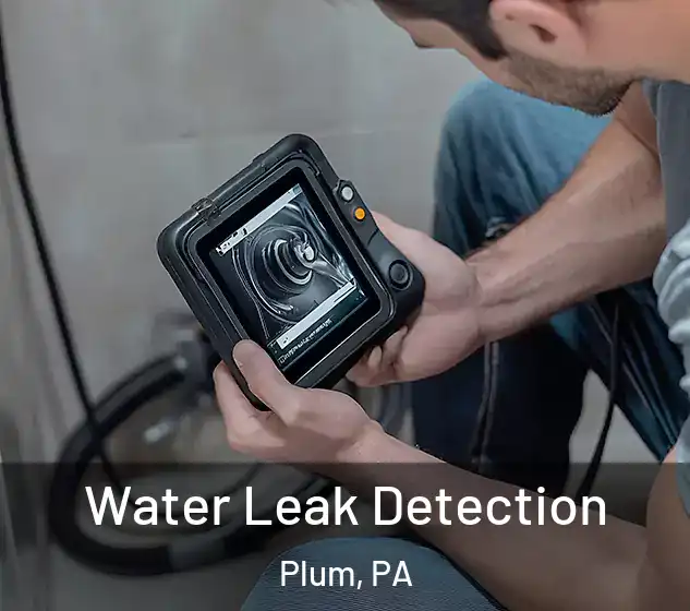  Water Leak Detection Plum, PA
