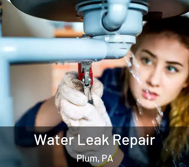  Water Leak Repair Plum, PA