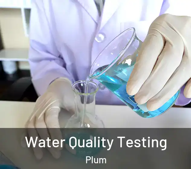  Water Quality Testing Plum