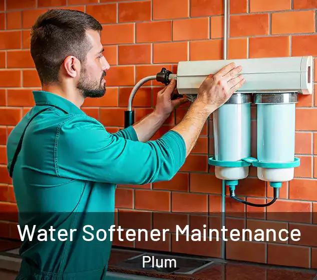  Water Softener Maintenance Plum