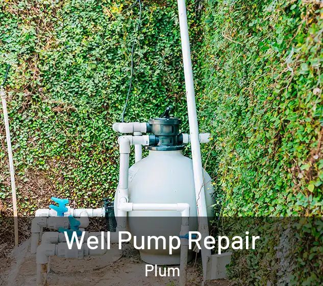 Well Pump Repair Plum