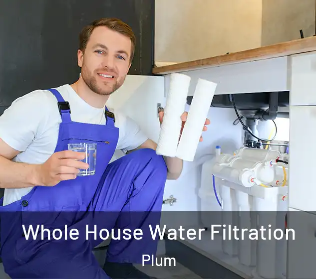  Whole House Water Filtration Plum